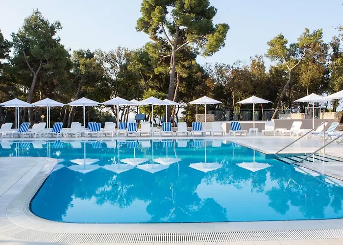 호텔 Park Plaza Arena 풀라