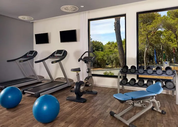 호텔 Park Plaza Arena 풀라