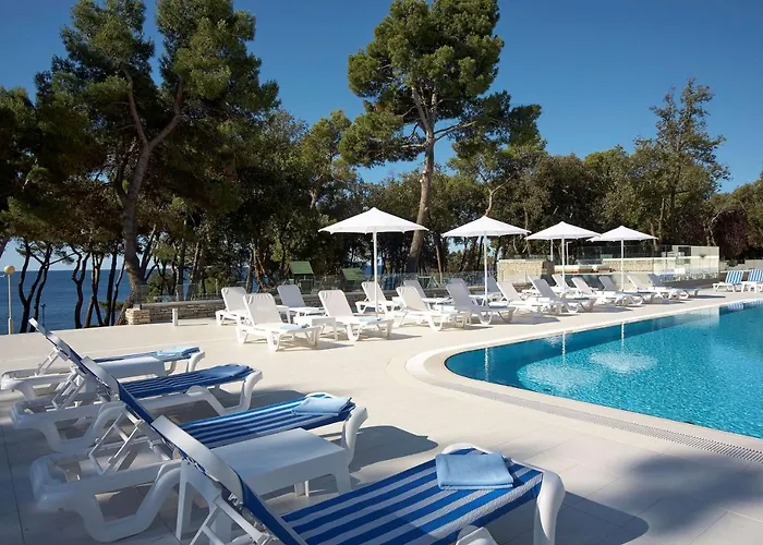 호텔 Park Plaza Arena 풀라