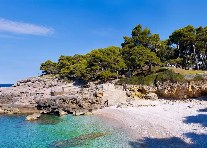 Park Plaza Arena 풀라