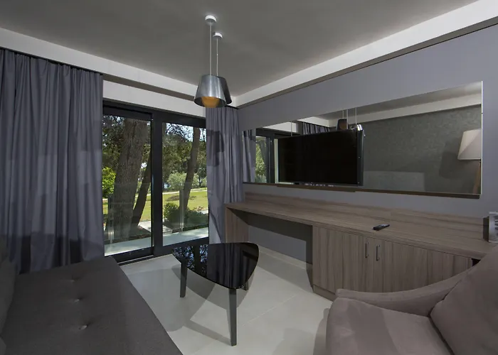 호텔 Park Plaza Arena 풀라