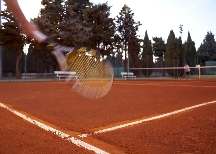 Park Plaza Arena 호텔 풀라