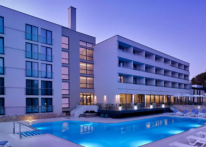 호텔 Park Plaza Arena 풀라