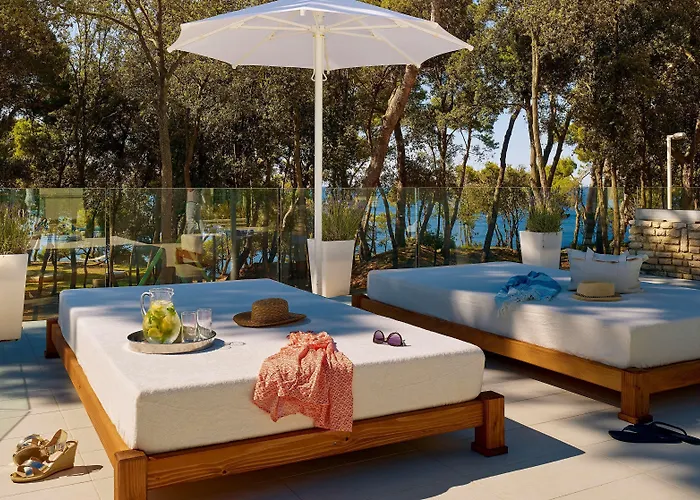 Park Plaza Arena 풀라